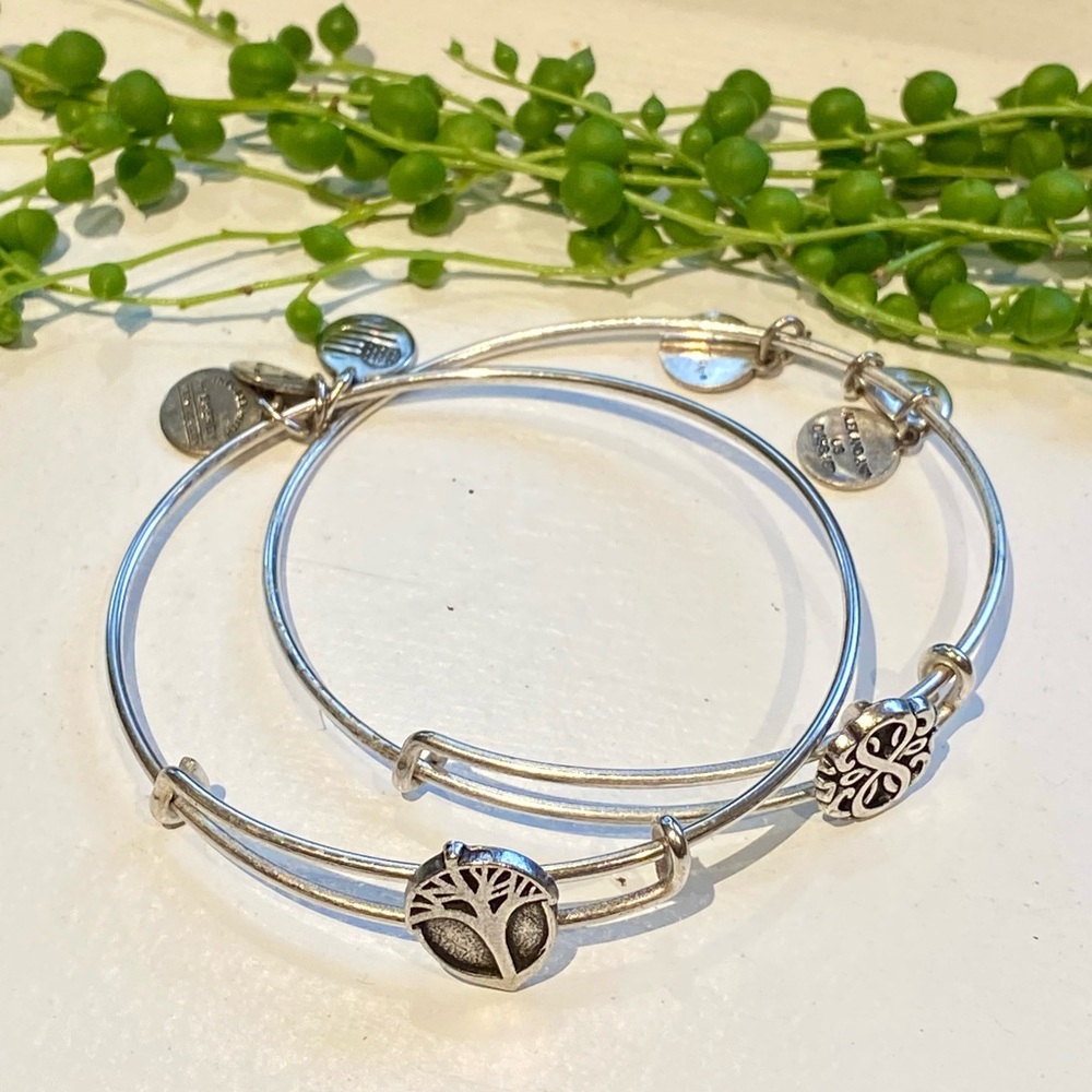 Alex and Ani Silver Charm Bracelet Duo
